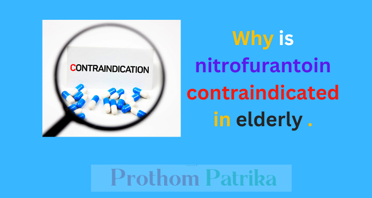 Nitrofurantoin side effects in elderly 