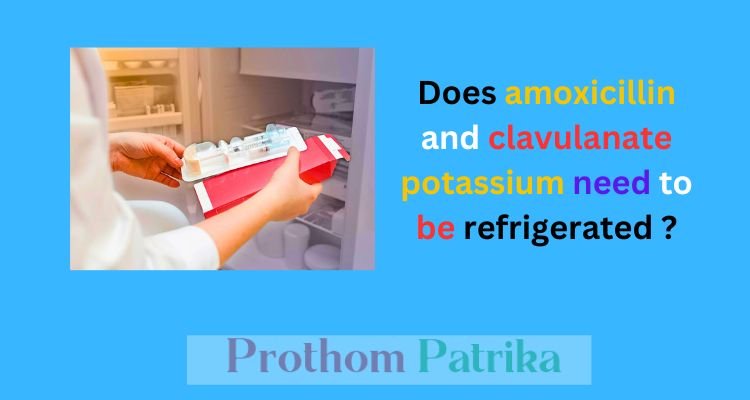 Does amoxicillin and clavulanate potassium need to be refrigerated